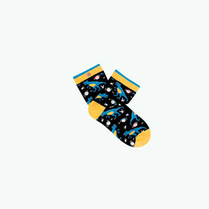Chaussettes Little Adventurer