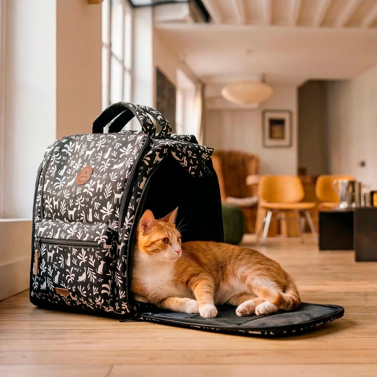 Sac à dos Adventurer pour Animaux Royan