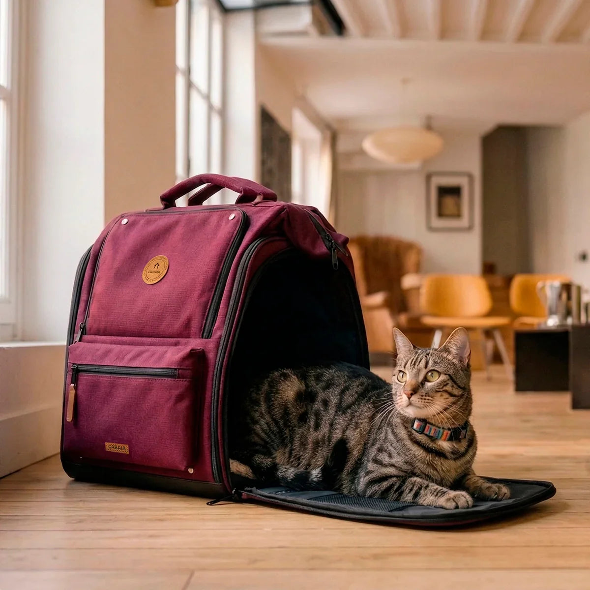 Sac à dos Adventurer pour Animaux Nice