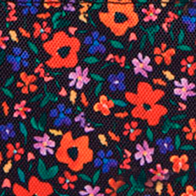 Pochette latérale Indiana State Museum