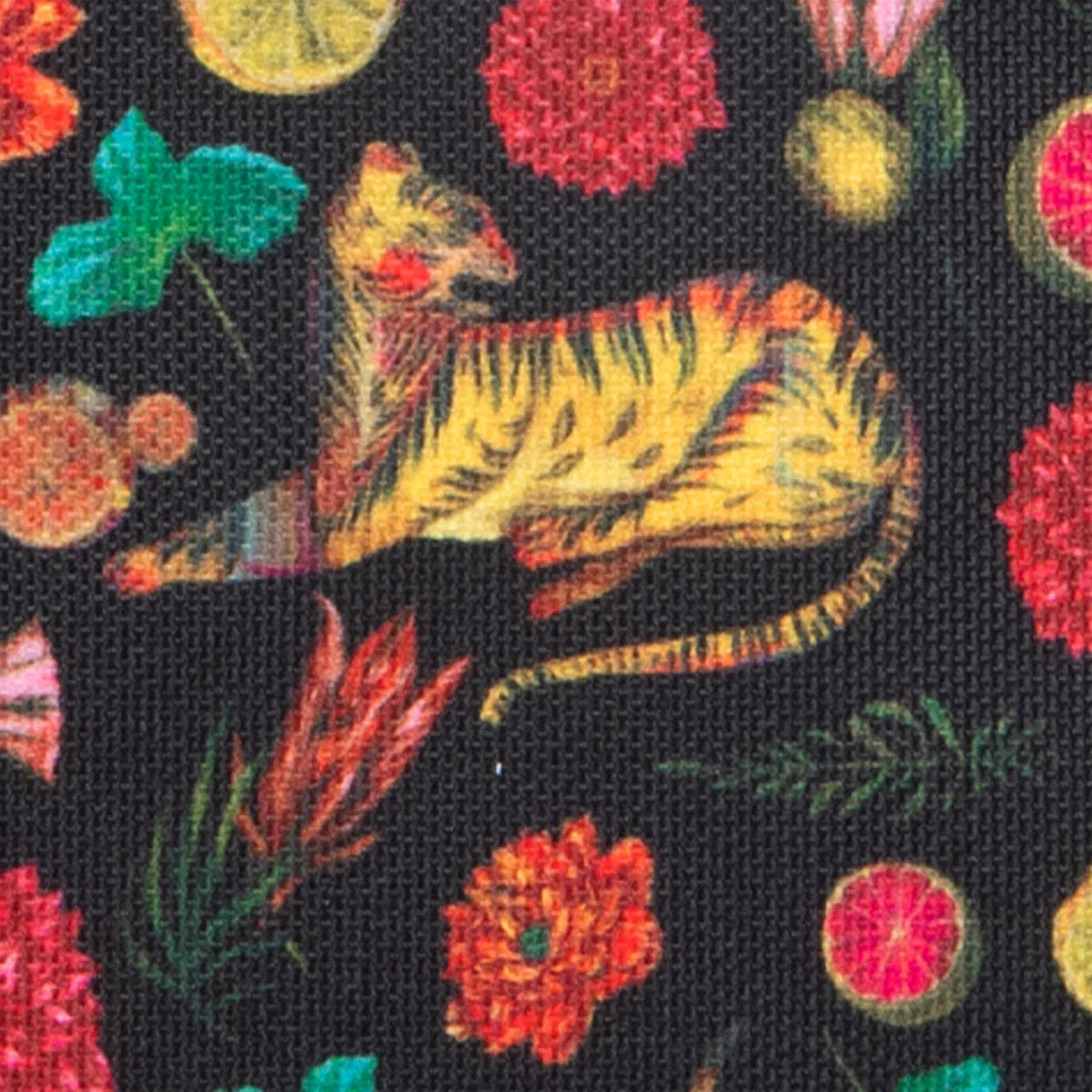 Pochette avant medium Olaf Hajek