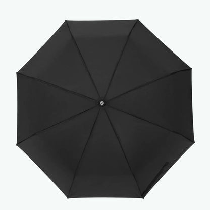 Parapluie Berlin