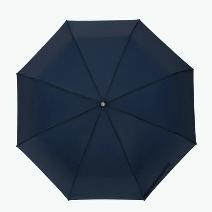 Parapluie Reykjavik